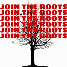 Roots Cult GIF - Roots Cult Join Us GIFs