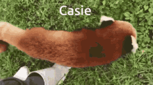 Casie GIF - Casie GIFs