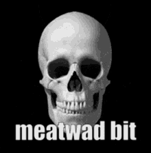 meatwad weaboo