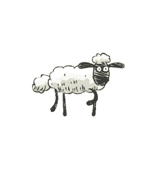 sheep home