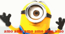 a picture of a minion that says amo amo amo amo amo amo amo amo
