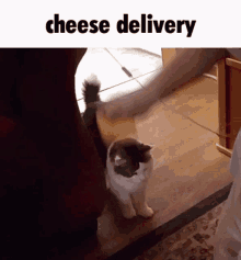 Deliver Cheese GIF - Deliver Cheese Funny GIFs