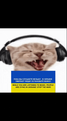 a cat wearing headphones with a blue and yellow flag in the corner