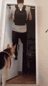 a man wearing a weighted vest is doing pull ups while a dog watches