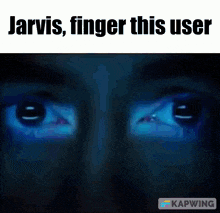 a picture of a person 's eyes with the words jarvis finger this user