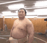 Sumo Wrestler Wakamotoharu GIF