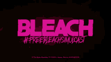 Freebleachsimulcast Bleach Anime GIF - Freebleachsimulcast Simulcast Bleach GIFs