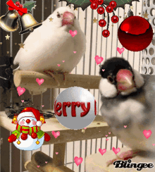 christmas birds christmas ball bell hearts
