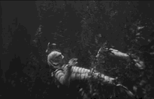 Swimming The Gill Man GIF - Swimming The Gill Man Creature From The Black Lagoon GIFs