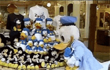 Donald Duck Laughing GIF - Donald Duck Laughing Disney Store GIFs