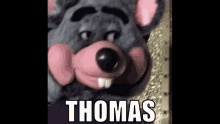 Thomas GIF - Thomas GIFs