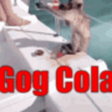 Gog Gog Cola GIF - Gog Gog Cola Gog Moment GIFs