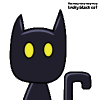 a very very very lucky black cat with yellow eyes and a black tail
