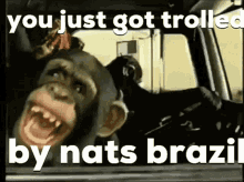 monkey laughing trolled nats brazil