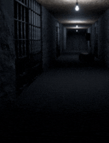 a dark hallway with bars and a light on the ceiling