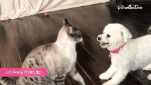 Fighting Scared GIF - Fighting Scared Angry GIFs