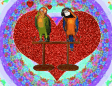 Amor Corazon Birds GIF - Amor Corazon Birds La Distancia Y La Altura GIFs