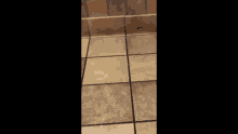 a blurry picture of a person standing in a public restroom behind a stall .