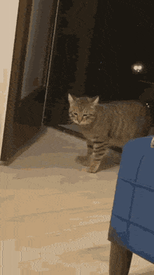 Cats Fight GIF - Cats Fight Cats Fighting GIFs