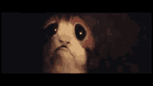 Porg Star Wars GIF - Porg Star Wars Sad GIFs