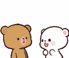 cute bears