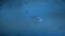 an animated image of a dragon with a blue sky in the background