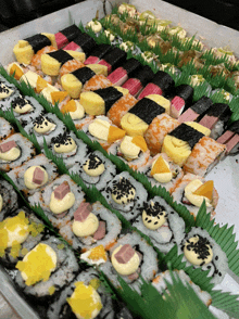 a variety of sushi rolls are arranged on a table