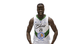 Blois Basket Sticker - Blois Basket Stickers