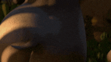 a close up of a bull 's tail with a shadow