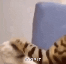 a leopard print cat is laying on a bed with the words `` stop it '' written on the bottom .