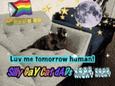 a cat is laying on a couch with the words " luv me tomorrow human "