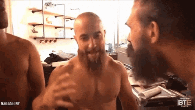 Brodie Lee John Silver GIF Brodie Lee John Silver Alex Reynolds Discover Share GIFs