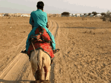 ناقه GIF - Camel Riding Sahara GIFs