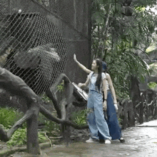 two women are standing next to a fence looking at a bear .