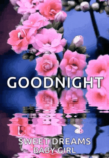 Goodnight Flowers GIF - Goodnight Flowers Water GIFs