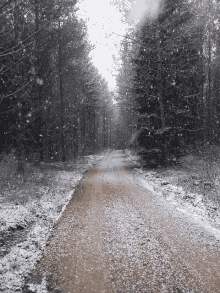 Cold Nature GIF - Cold Nature Snowing GIFs