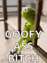 kermit the frog is sitting on a railing with the words `` goofy ass bitch '' .