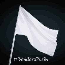 Benderaputih Whiteflag GIF - Benderaputih Whiteflag Kerajaangagal GIFs