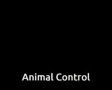 Animal Control Dfta GIF