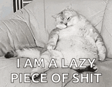 Boring Lazy GIF - Boring Lazy Cat GIFs