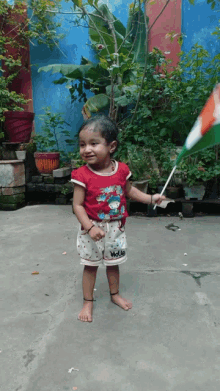 Baby Girl Indian Flag GIF - Baby Girl Indian Flag Ak Amit GIFs
