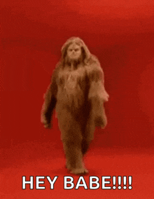 Walking Into My Wax Appoinment Hairy GIF - Walking Into My Wax Appoinment Hairy Sassy GIFs