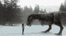 a woman is feeding a dinosaur in the snow in a black and white photo .