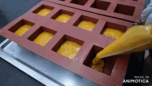 a video of a person pouring liquid into a silicone mould with the words made in animotica at the bottom
