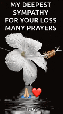 a white flower with water drops on it and a message that says my deepest sympathy for your loss many prayers hugs