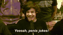 Penis Jokes Harry Styles GIF - Penis Jokes Harry Styles One Direction GIFs