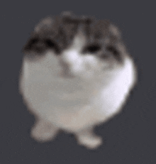 a blurred image of a cat sitting on a gray surface .