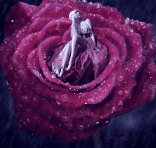 Rose Lady GIF - Rose Lady GIFs