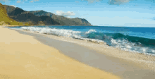 Ocean Shore GIF
