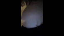 a dark room with a light coming out of the corner .